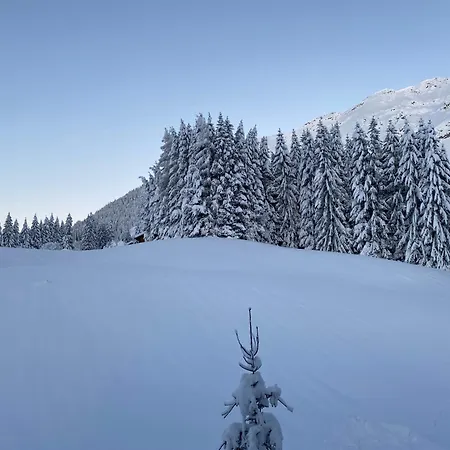 Appartementhaus Sonnalm Berwang Extérieur photo